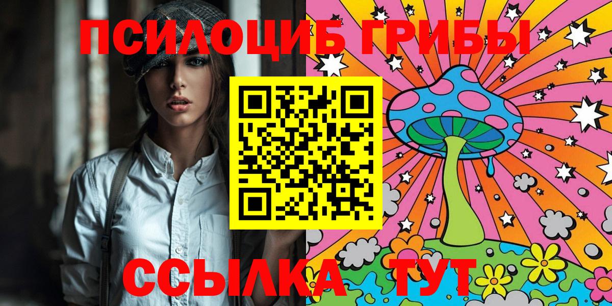 Галлюциногенные грибы Psilocybine cubensis Долгопрудный