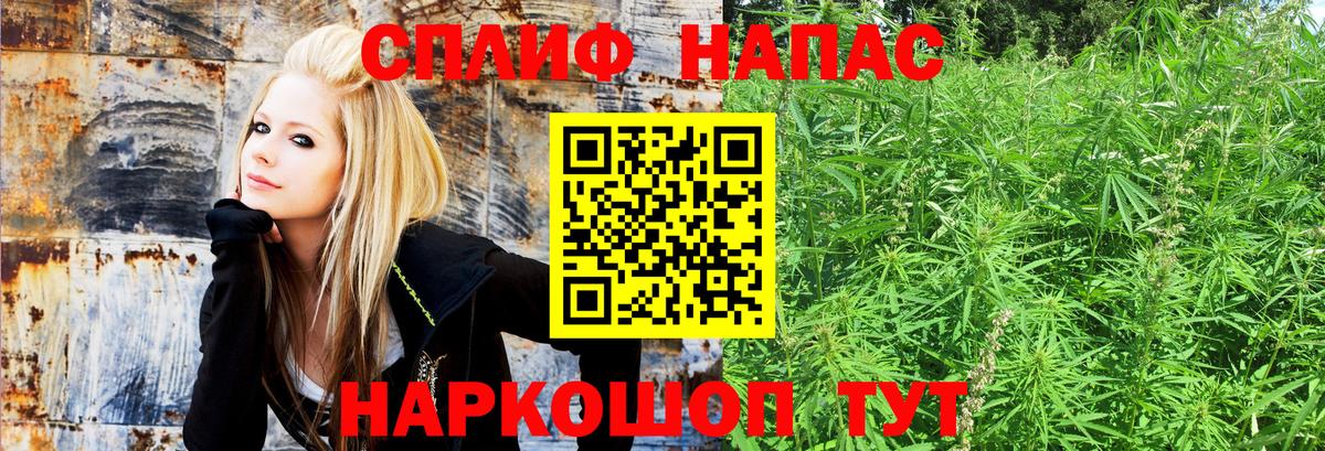 Долгопрудный  Бошки Шишки SATIVA & INDICA  Вход с VPN  Марихуана индика 